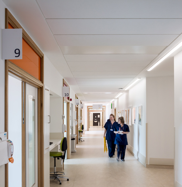 Corridors are large and light and feature beautiful coloured panels, 05 of 17.
