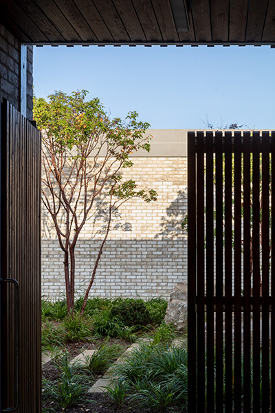 Exterior image showing views through to the planted courtyards, 14 of 21.